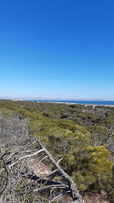 Bonito Piso Al Lado Del Mar! Leilighet La Mariña Eksteriør bilde